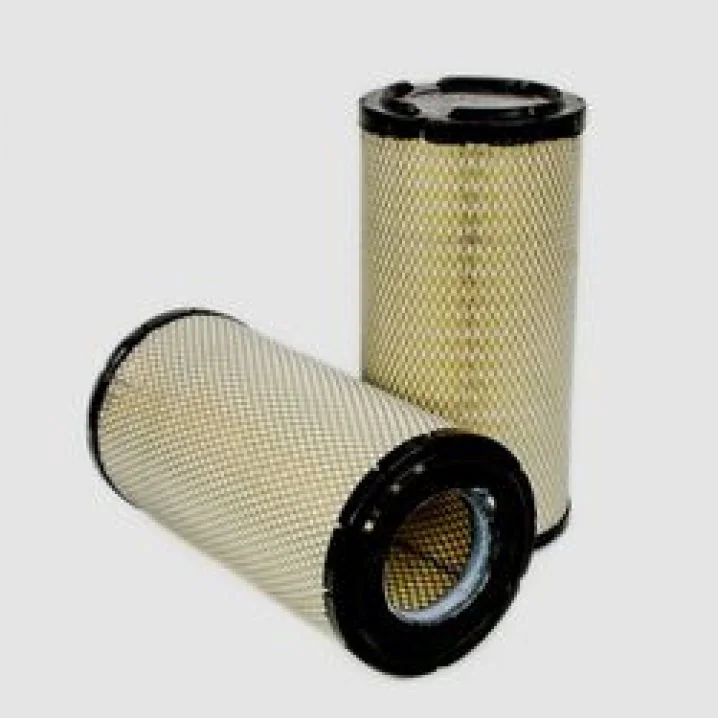 DONALDSON - P781039 - Air Filter