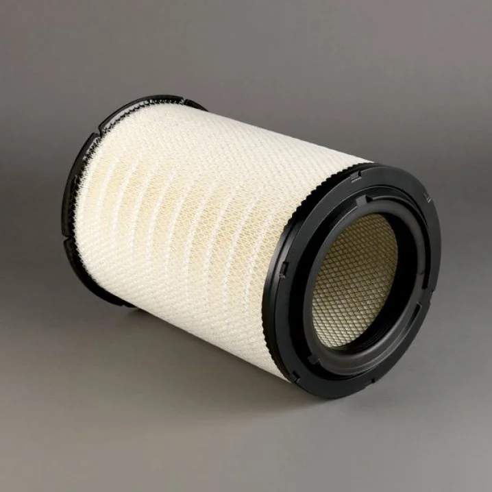Donaldson - P787610 - Air filter element