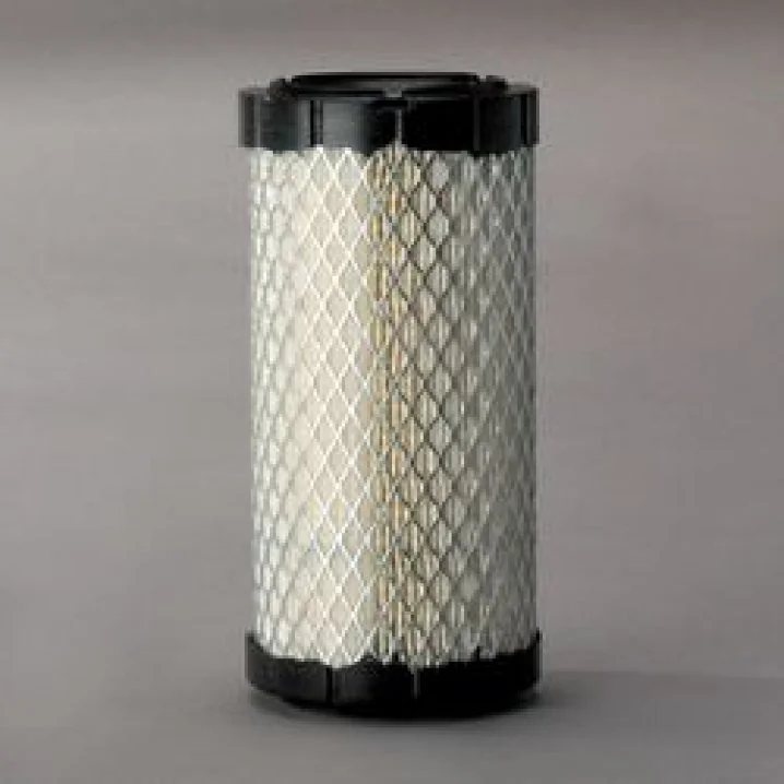 DONALDSON - P822686 - Air Filter