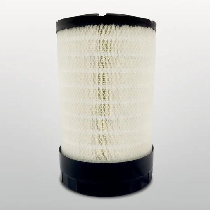 Donaldson - P952024 - Air Filter