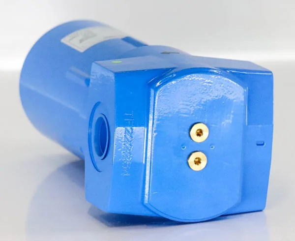 Elsaesser - 163868/SF Druckluftfilter - 163868/sf compressed air filter g 1inches , pn16, 0.01µm, 198 m³/h
