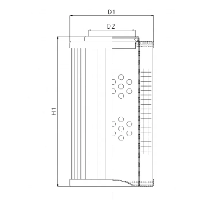 Filtrec - DHD60G01B - Hydraulic filter element