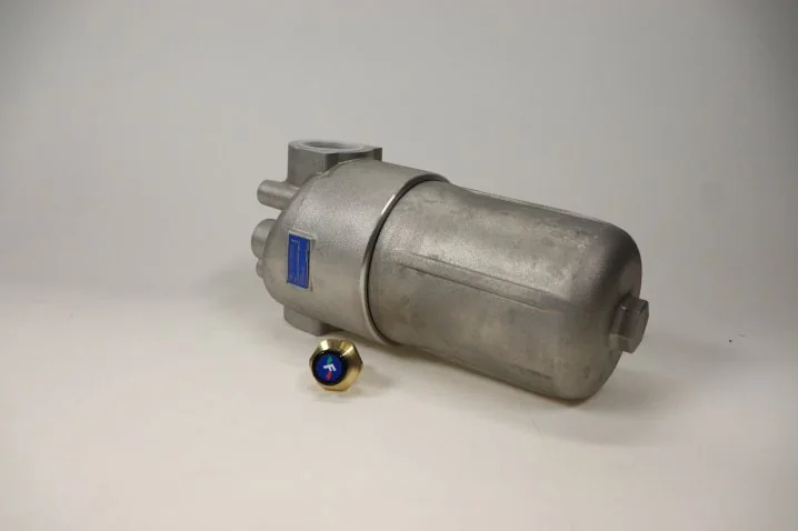 Filtrec - F100XD160G10ABB70WV05 - Inline medium pressure filter