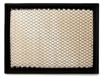 Fleetguard - AF25754 - Air filter element