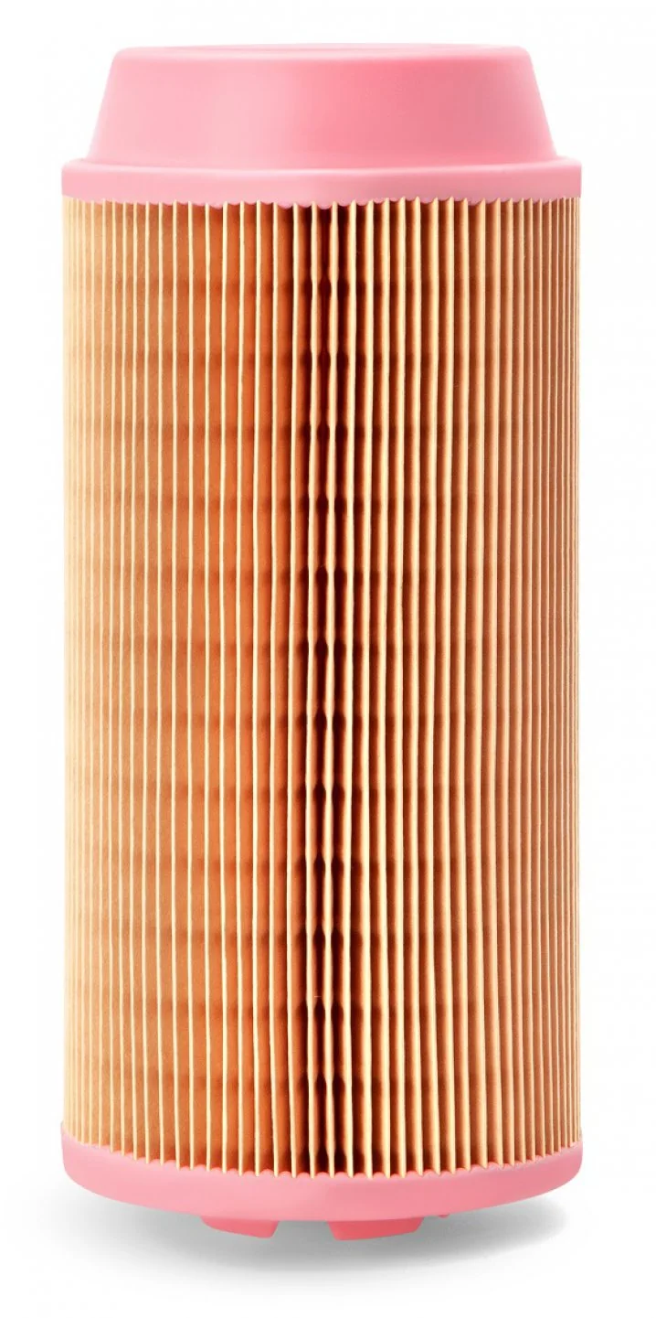 Fleetguard - AF26387 - Air filter element