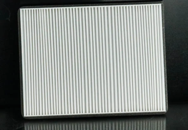 Fleetguard - AF55870 - Cabin air filter element