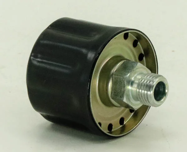 Hydac - BF P 4 G 10 W 1.0 - Air filter (ventilation / breather)