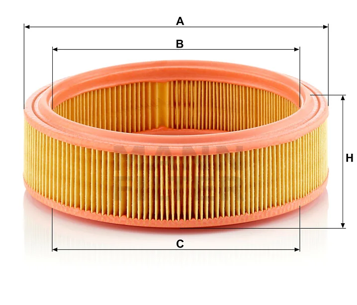 Mann Filter