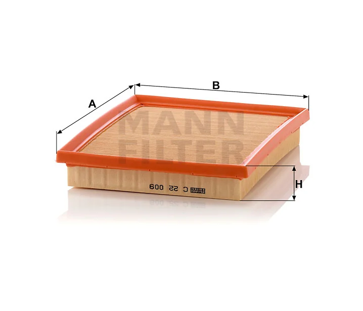 Mann Filter