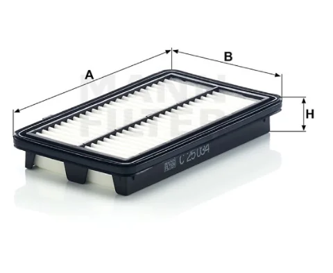 Mann Filter