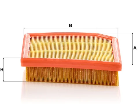 Mann-Filter - C 29 031 - Air filter element