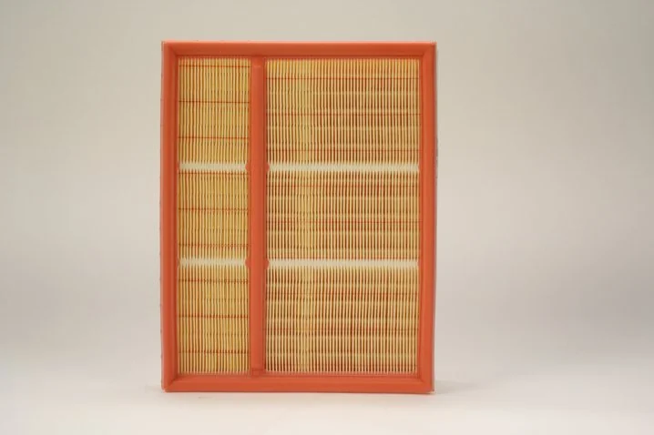 Mann-Filter - C 30 195/2 - Air filter element