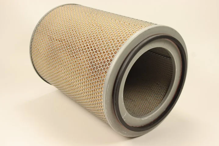 Mann-Filter - C 31 1310 - Air filter element
