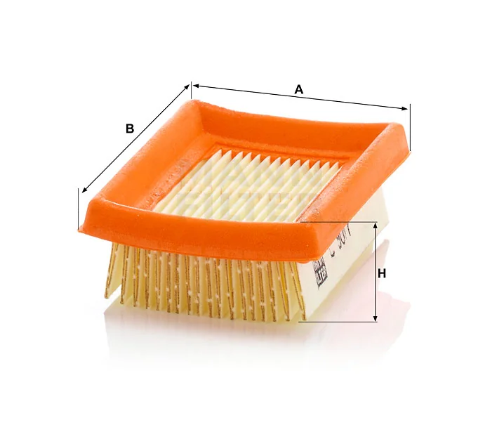 Mann Filter