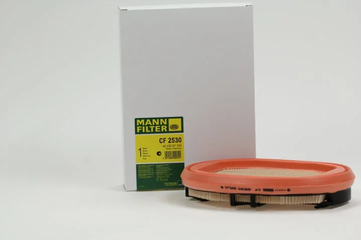 Mann-Filter - CF 2530 - Air filter element (secondary iqoron-12)