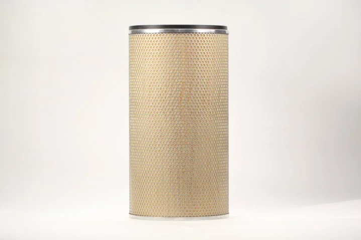 Mann-Filter - CF 30 001 - Air filter element (secondary)