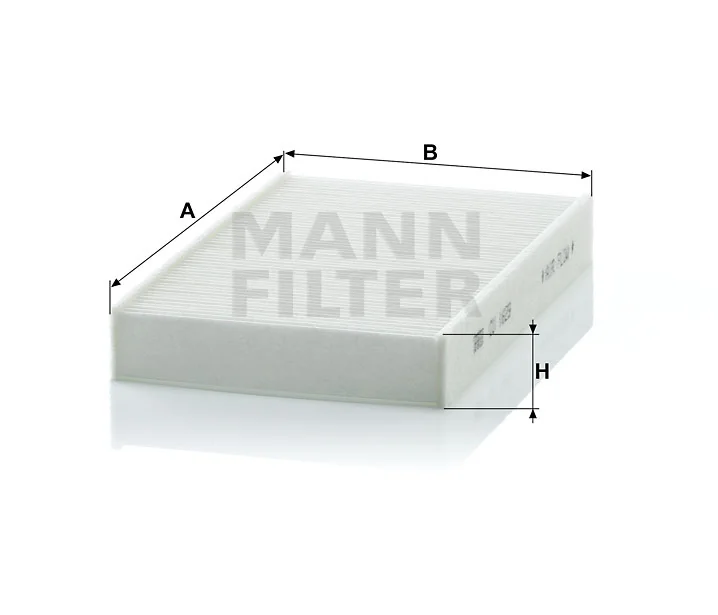 Mann Filter