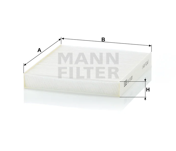 Mann Filter