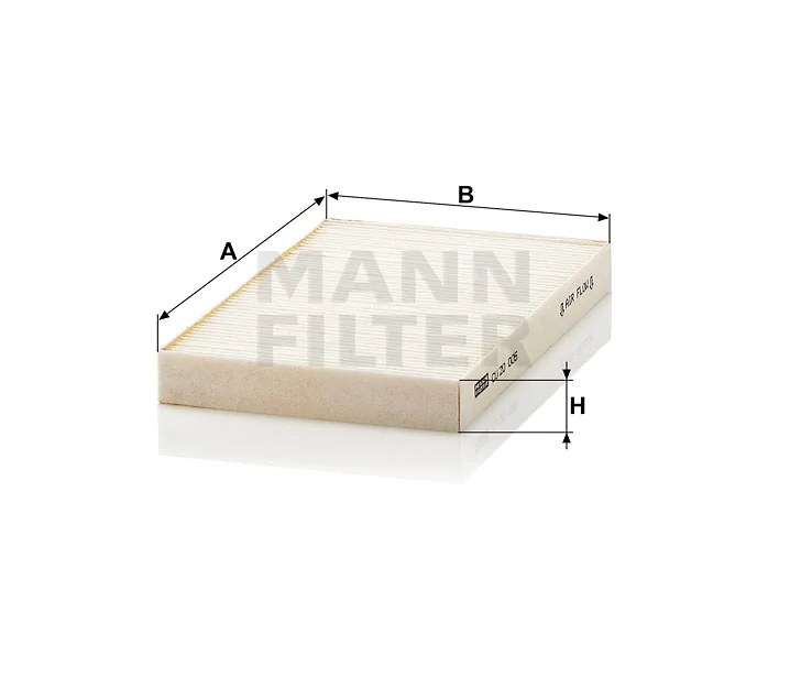 Mann Filter