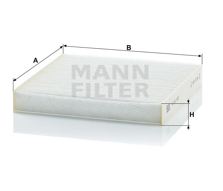 Mann Filter