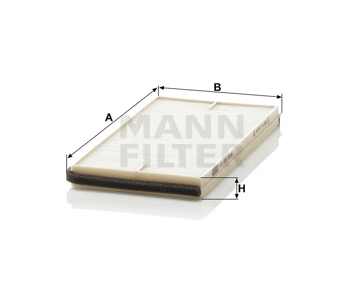 Mann Filter