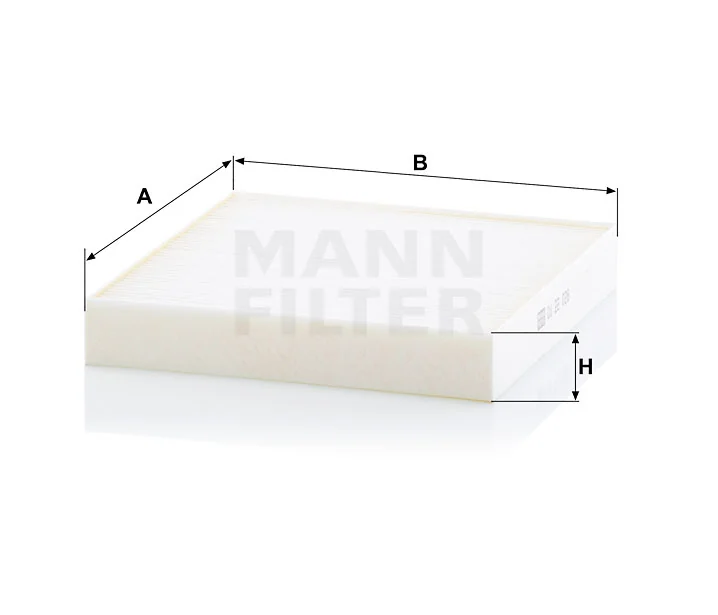 Mann Filter