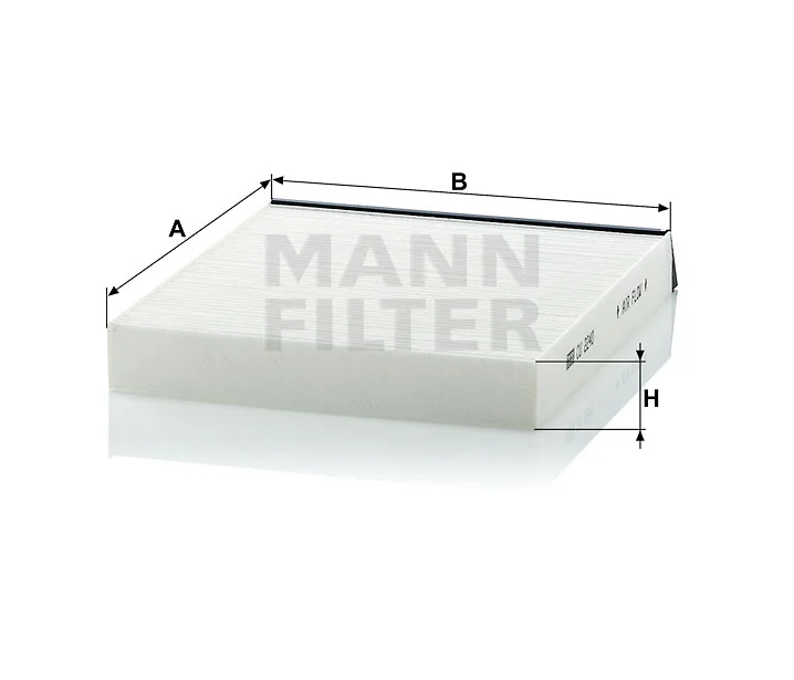 Mann Filter