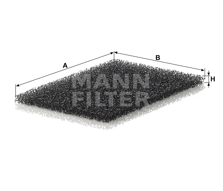 Mann Filter