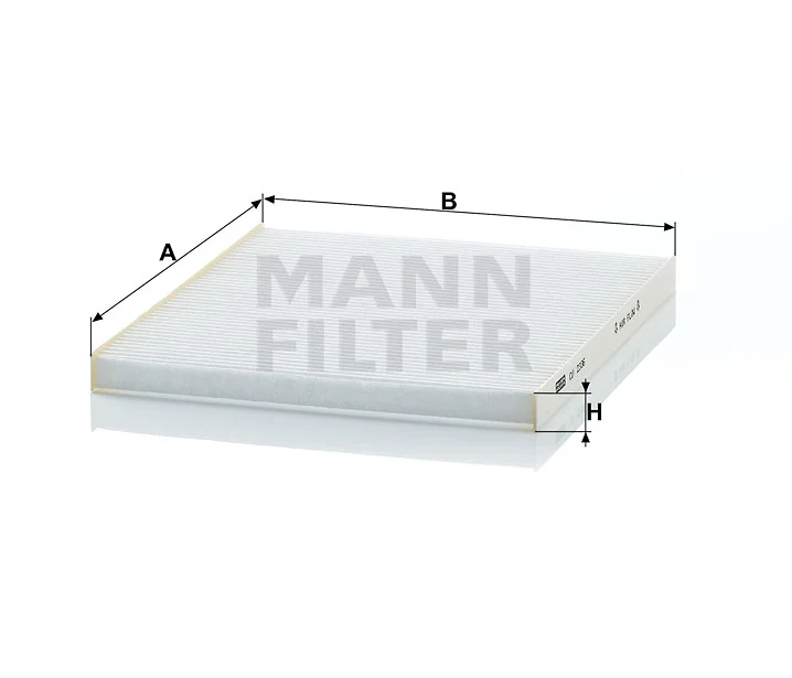 Mann Filter
