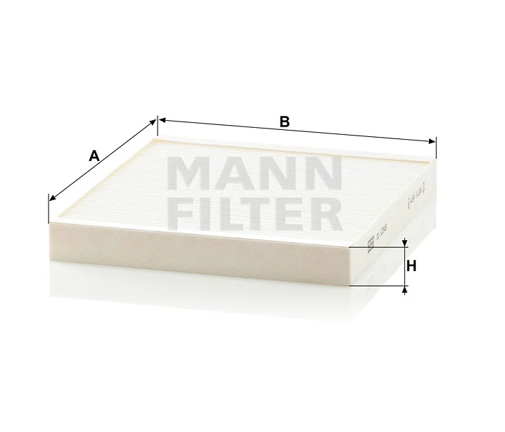 Mann Filter