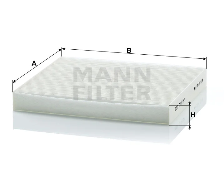Mann Filter