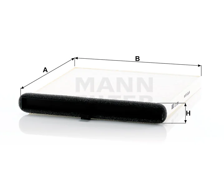 Mann Filter