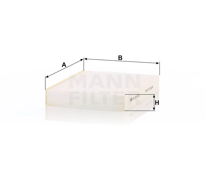 Mann Filter
