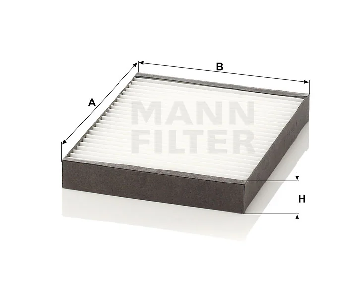 Mann Filter