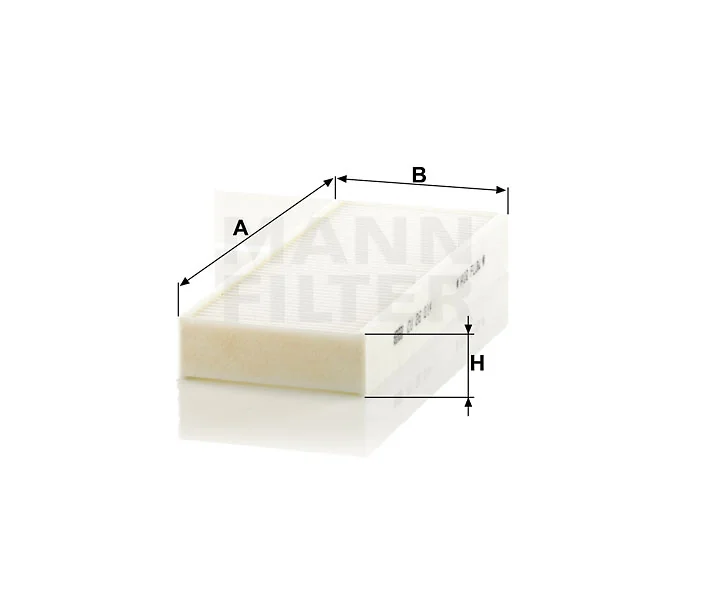 Mann Filter