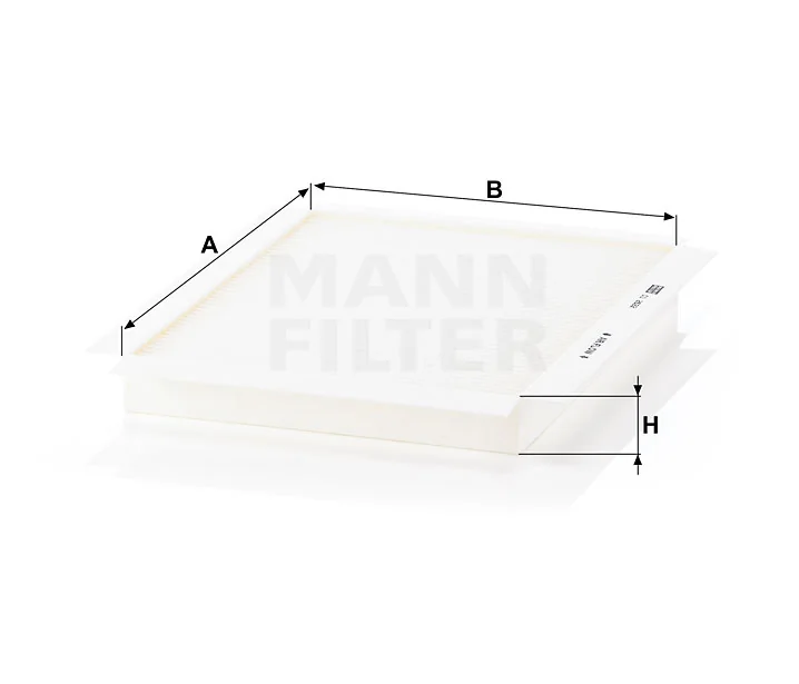 Mann Filter