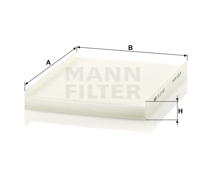 Mann Filter