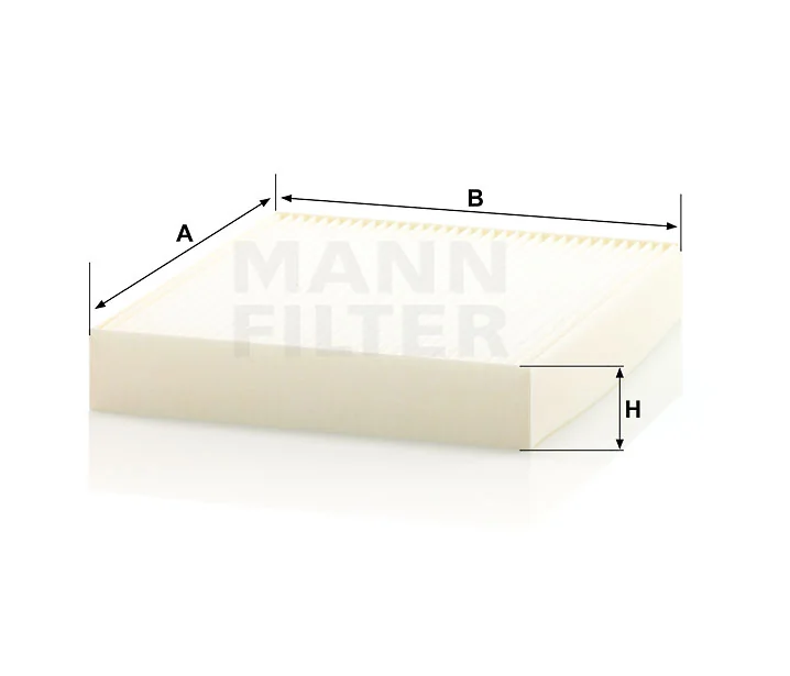Mann Filter