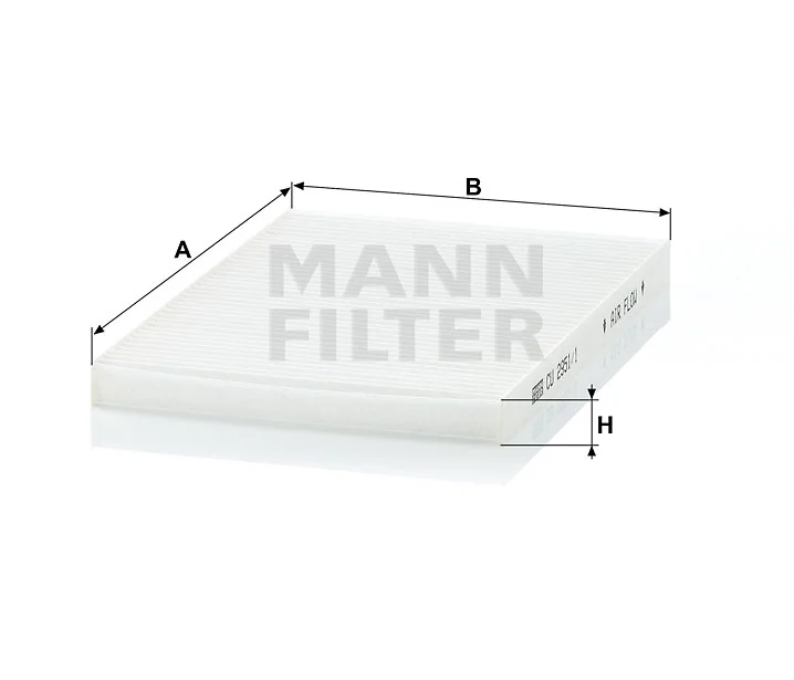 Mann Filter