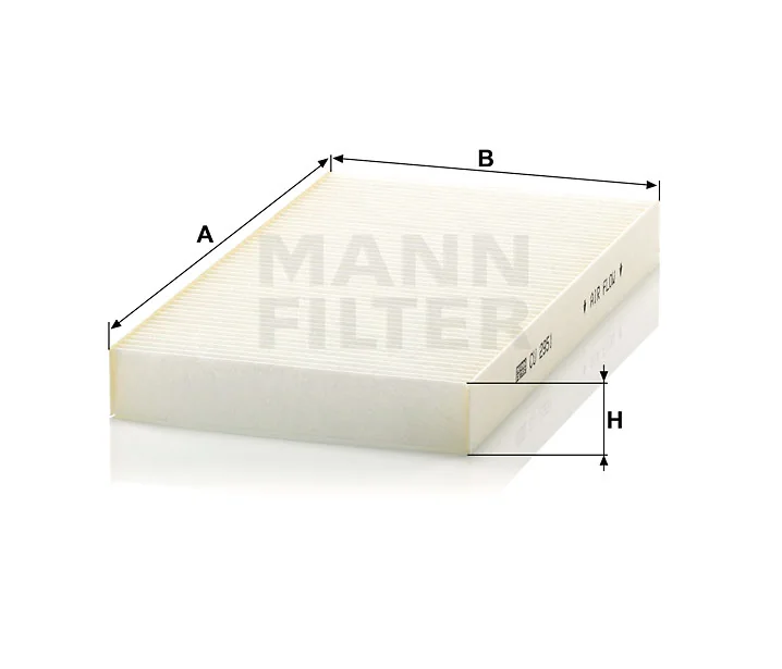 Mann Filter