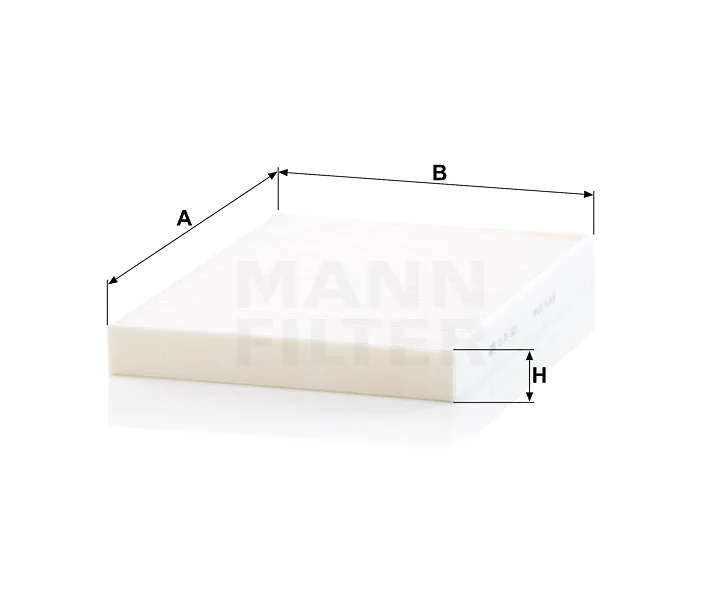 Mann Filter