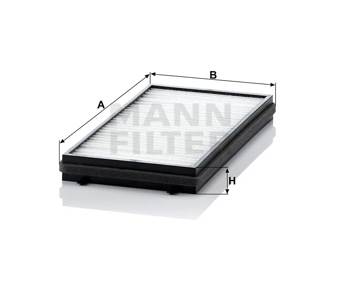 Mann Filter