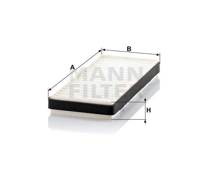 Mann Filter