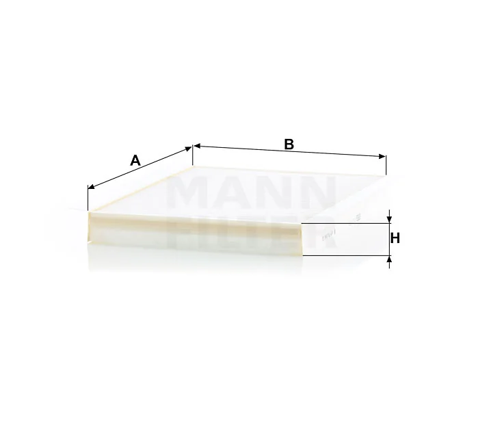 Mann Filter