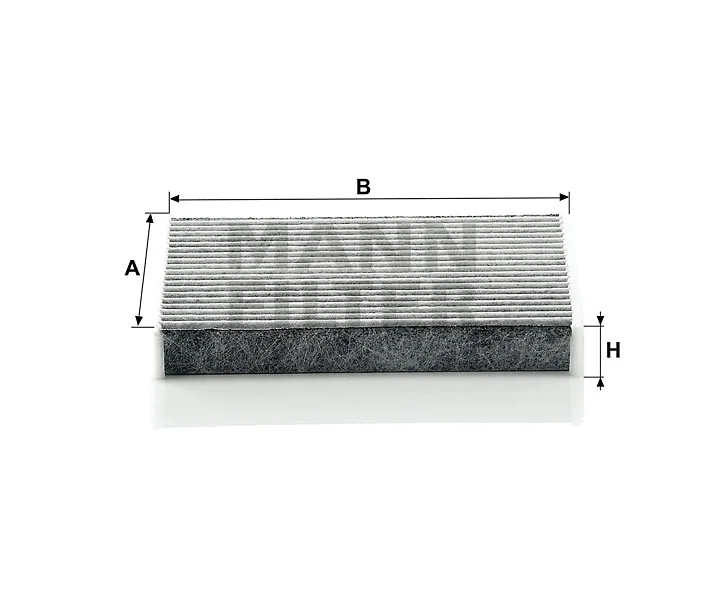 Mann Filter