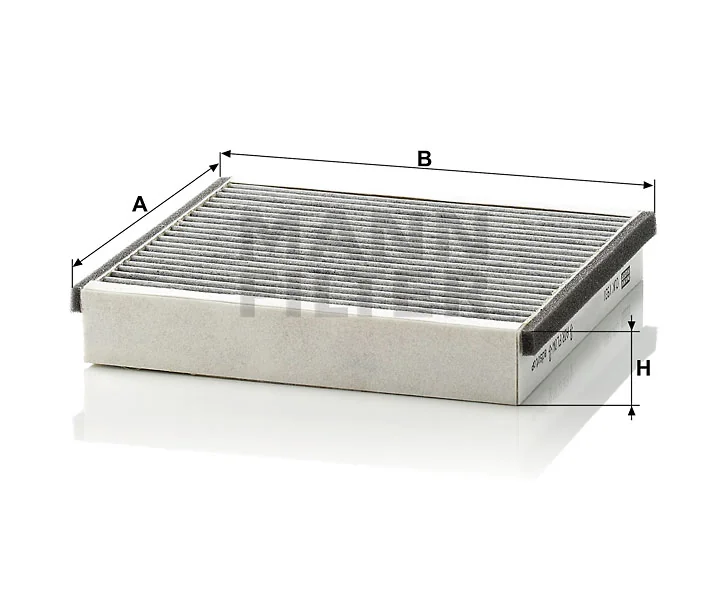 Mann Filter