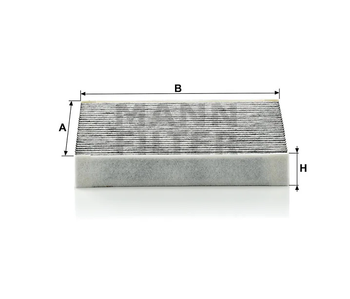 Mann Filter