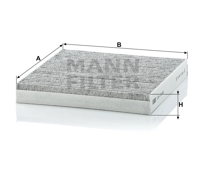 Mann Filter