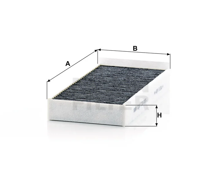 Mann Filter