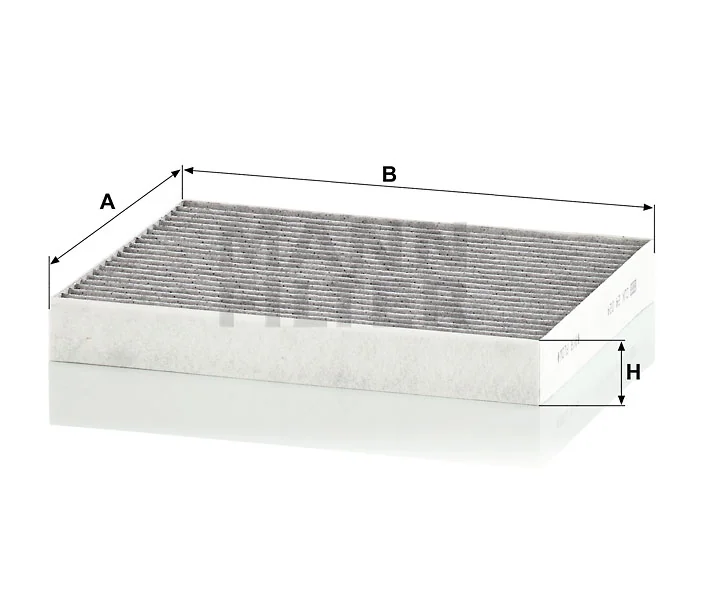 Mann Filter